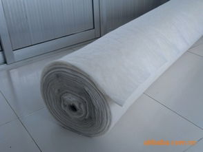 常熟市支塘镇任阳天逸无纺制品厂